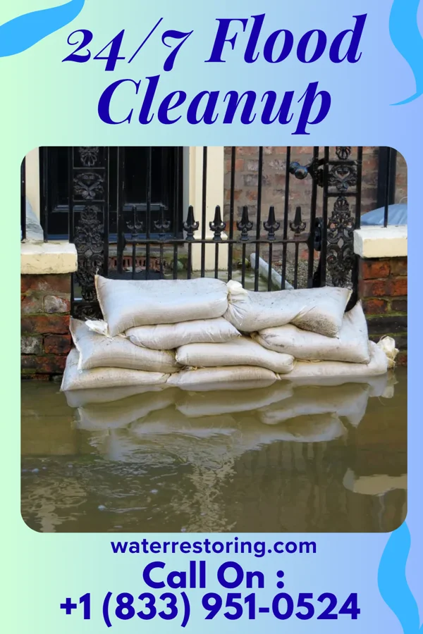 24/7 Flood Cleanup in Frankenmuth, MI