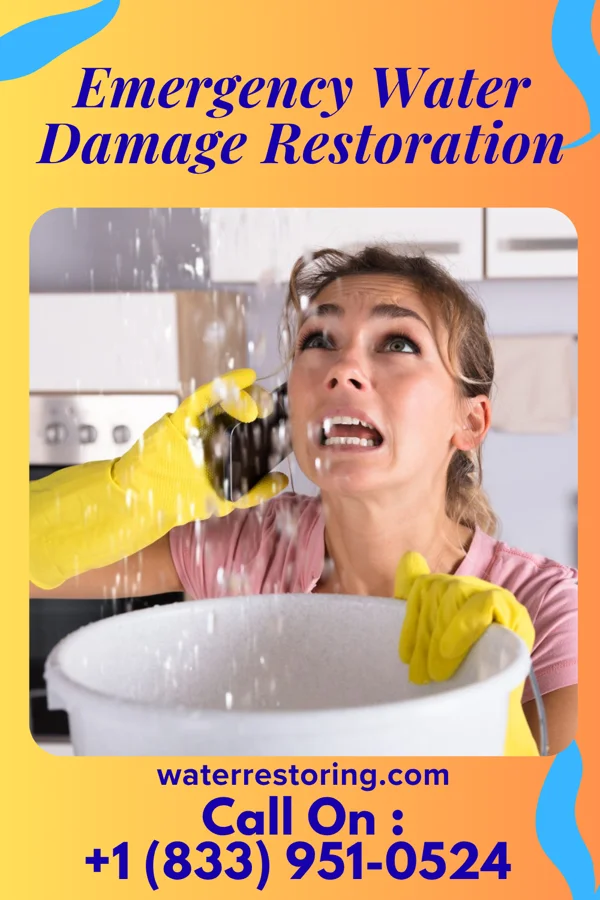 Emergency Water Damage Restoration in Frankenmuth, MI