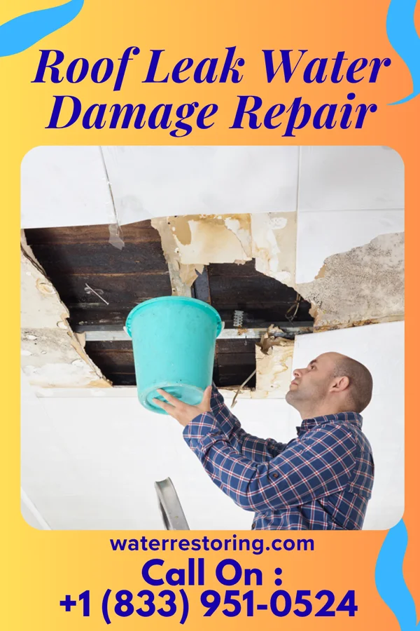 Roof Leak Water Damage Repair in Frankenmuth, MI