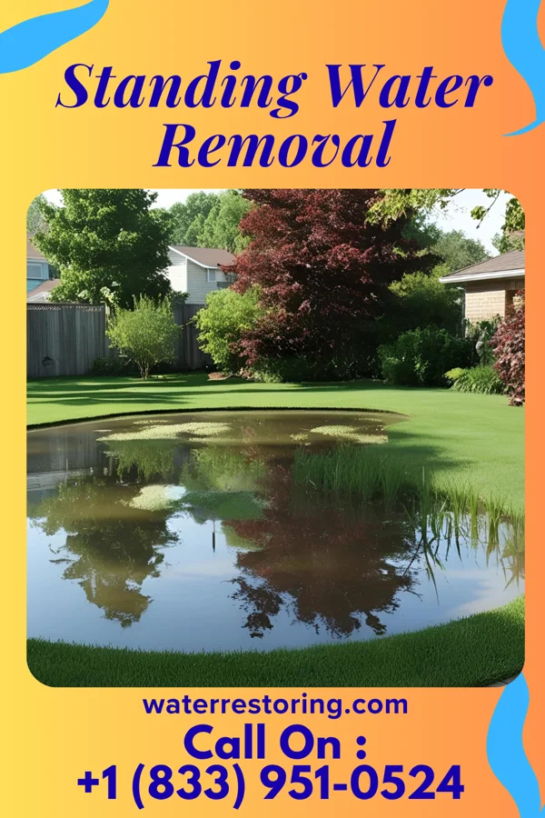 Standing Water Removal in Frankenmuth, MI